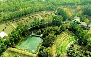 水土保持监测系统